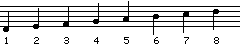 Musical Notes